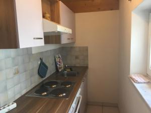 Kuchyň nebo kuchyňský kout v ubytování Ferienwohnung Lebenslust Frauen Gasser + 17 fotografií