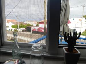 a window with a cactus and a bottle on a table at Cantinho das Beiras in Praia da Vitória