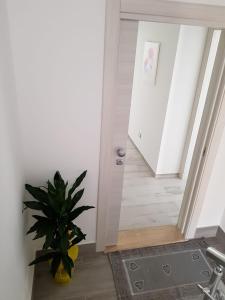 Gallery image of Appartamenti Edia in Lampedusa