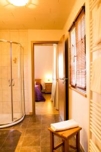 a bathroom with a walk in shower and a table at Maison d'hôtes Chez Christelle - Proximité Route des vins d'Alsace in Griesheim-près-Molsheim