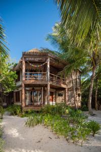 a house on the beach with a palm tree at Delek Tulum in Tulum