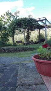 Vonkajšia záhrada v ubytovaní Locanda di Campagna