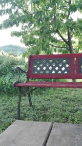 a red bench sitting in the grass near a tree at Locanda di Campagna in Mulazzo