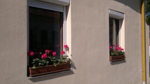 two window boxes with flowers in them on a building at Amira apartman in Eger