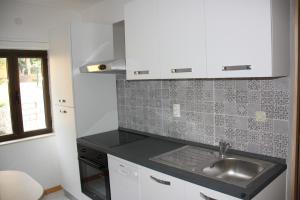 Guesthouse Santor的厨房或小厨房