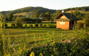 Naturlandskabet i nærheden af chaletet + 50 billeder