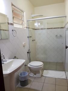 y baño con ducha, aseo y lavamanos. en Pousada Vale do Dinossauro en São Pedro