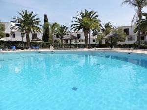 une grande piscine bleue avec des palmiers et des bâtiments dans l'établissement São Rafael Beach Apartment, à Albufeira