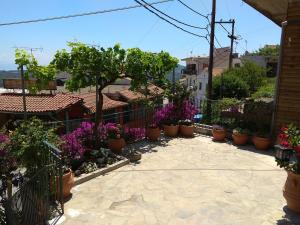 Vonkajšia záhrada v ubytovaní Corfu Pelekas Apartment