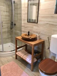 a bathroom with a sink and a toilet and a shower at Domeniul Horj Casa din Cireș Moisei in Moisei +35 photos