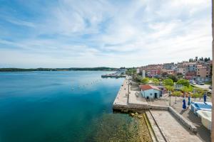 a view of a large body of water with buildings at Apartments Sea View - Sunrise and Maremonte in Rovinj