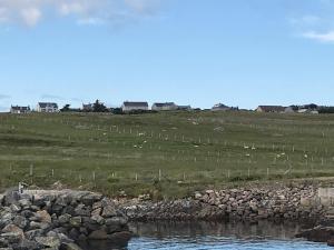 ein Wasserkörper mit einem Feld und Häusern im Hintergrund in der Unterkunft 14 Upper Bayble in Stornoway