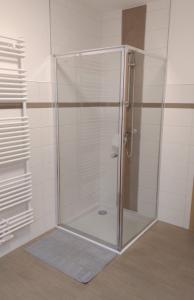 a shower with a glass door in a bathroom at Ferienwohnung Berger in Reinhardtsdorf