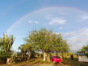 Foto de la galería de Alojamiento Casa de campo los Cactus en Villavieja