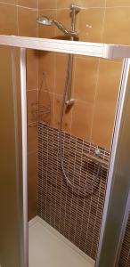 a shower with a shower head in a bathroom at Casa Andreola in Valfurva +16 photos