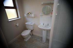 Un baño con inodoro, lavabo y espejo. en Alices Loft & Cottages, en Castleblayney 10 fotos más