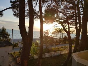Paesaggio naturale nelle vicinanze dell'affittacamere