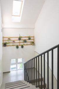 Fotografia z galérie ubytovania Apartmani Mursa v destinácii Osijek