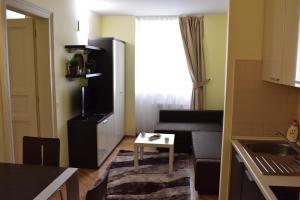 Kuchyňa alebo kuchynka v ubytovaní Apartment Vikroria - Hálkova 5