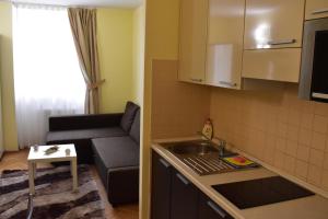 Kuchyňa alebo kuchynka v ubytovaní Apartment Vikroria - Hálkova 5