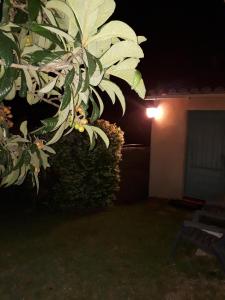 Gallery image of Grand studio in La Roquette-sur-Siagne +11 photos