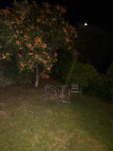 Gallery image of Grand studio in La Roquette-sur-Siagne