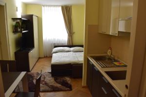 Kuchyňa alebo kuchynka v ubytovaní Apartment Vikroria - Hálkova 5
