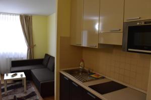 Kuchyňa alebo kuchynka v ubytovaní Apartment Vikroria - Hálkova 5