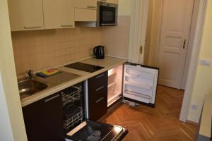 Kuchyňa alebo kuchynka v ubytovaní Apartment Vikroria - Hálkova 5