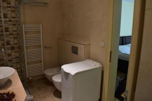 Kúpeľňa v ubytovaní Apartment Vikroria - Hálkova 5