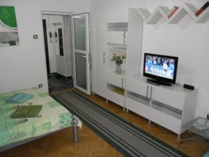 TV a/nebo společenská místnost v ubytování Calea Victoriei Residence