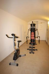 Posilňovňa alebo fitness centrum v ubytovaní Apartment Vikroria - Hálkova 5