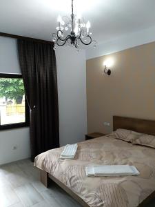 1 dormitorio con 1 cama con lámpara de araña y ventana en Casa Roka, en Eşelniţa
