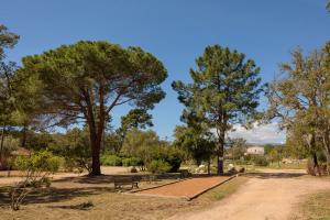a park with benches and trees on a sunny day at U Paesolu in Sainte-Lucie de Porto-Vecchio