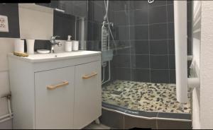 a bathroom with a shower with a sink and a shower at Studio rénové balcon ensoleillé et calme in La Londe-les-Maures