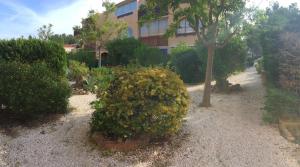 a bush with yellow flowers in front of a building at Studio rénové balcon ensoleillé et calme in La Londe-les-Maures