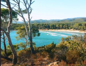 a view of a beach with trees and blue water at Studio rénové balcon ensoleillé et calme in La Londe-les-Maures