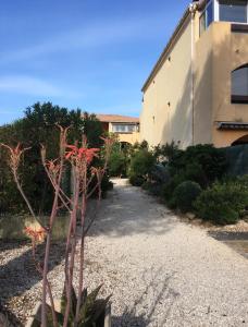 a plant in a gravel yard next to a building at Studio rénové balcon ensoleillé et calme in La Londe-les-Maures