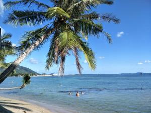 a palm tree on a beach with people in the water at BeauBo Beach in Ban Tai