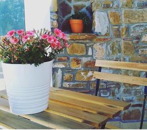 Fotografie z fotogalerie ubytování B&b Il sogno v destinaci Santa Maria di Castellabate