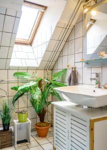 ein Badezimmer mit einem Waschbecken und einer Pflanze in der Unterkunft Nordstern in Gingst