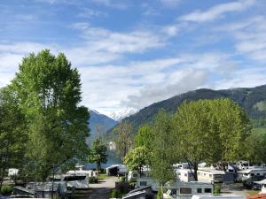 a view of a village with trees and a mountain at Haus Imbachhorn in Zell am See