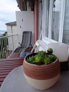 Balkón nebo terasa v ubytování Apartments Anita