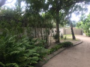 a path through a garden with trees and plants at Garden Apartments in Richards Bay