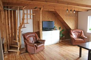 salon z 2 krzesłami i telewizorem w obiekcie Apartament na Kromera w Olsztynie