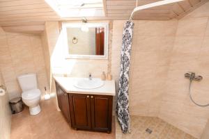 a bathroom with a sink and a toilet and a shower at Svečių Apartamentai Vanagupėje in Palanga +29 photos