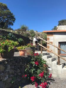 un conjunto de escaleras con flores y una cámara en Casas Del Monte II en Valverde