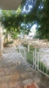 a white fence in front of a yard with trees at David in 4 in Primošten