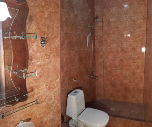 a bathroom with a toilet and a shower at Guest House MARINA in K'obulet'i