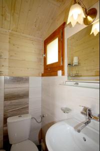 a bathroom with a white toilet and a sink at U Synowców in Polańczyk +77 photos